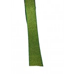 FITA LUREX 22MM CIRCULO COM 10 MT VERDE
