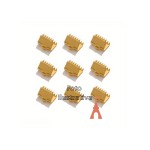 TERMINAL JACARE 10PC DOURADO 