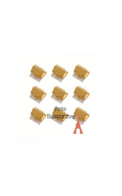 TERMINAL JACARE 10PC DOURADO 