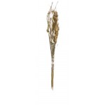 CAPIM ESTRELINHA ALVEJADO 70G